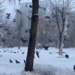 Doğu Anadolu'da Yoğun Kar Yağışı Ulaşımı Olumsuz Etkiledi 9 erzurum ve karsta kar yagisi nedeniyle 66 yerlesim yerinin yolu kapandi 10ea8229cedb