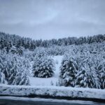 Doğu Anadolu'da Yoğun Kar Yağışı Ulaşımı Olumsuz Etkiledi 7 erzurum ve karsta kar yagisi nedeniyle 66 yerlesim yerinin yolu kapandi 49ad89958121