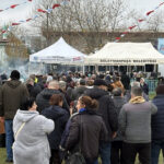 festivalde 10 bin kisiye 3 ton hamsi dagitildi 164223635212