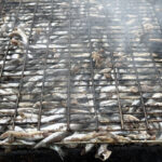 festivalde 10 bin kisiye 3 ton hamsi dagitildi 5c045d5fae0a