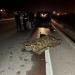 Fethiye'de Elektrikli Motosiklet Kazasında 77 Yaşındaki Sürücü Hayatını Kaybetti 2 hafif ticari aracla carpisan elektrikli motosikletin surucusu oldu c4190e540c0b