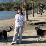 Akyaka’da Hayvanseverler Sokak Köpekleri İçin Sosyal Medya Üzerinden Kampanya Başlattı 1 hayvanseverlerden can dostlari sahiplendirmek icin seferberlik 097171860cd7