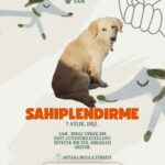 Akyaka’da Hayvanseverler Sokak Köpekleri İçin Sosyal Medya Üzerinden Kampanya Başlattı 9 hayvanseverlerden can dostlari sahiplendirmek icin seferberlik b8c70ca19b49
