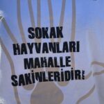 Akyaka’da Hayvanseverler Sokak Köpekleri İçin Sosyal Medya Üzerinden Kampanya Başlattı 3 hayvanseverlerden can dostlari sahiplendirmek icin seferberlik e00039d7c9e8