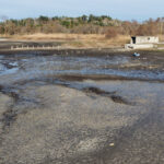 İstanbul'daki Barajların Doluluk Oranı Son 10 Yılın En Düşük Seviyesine Geriledi 1 istanbul aralik ayindaki yagis yetmedi istanbul barajlarinda dusus yeniden basladi 0dabbadf0184