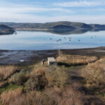 İstanbul'daki Barajların Doluluk Oranı Son 10 Yılın En Düşük Seviyesine Geriledi 10 istanbul aralik ayindaki yagis yetmedi istanbul barajlarinda dusus yeniden basladi 1ed345d29bb5