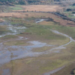 İstanbul'daki Barajların Doluluk Oranı Son 10 Yılın En Düşük Seviyesine Geriledi 3 istanbul aralik ayindaki yagis yetmedi istanbul barajlarinda dusus yeniden basladi 792c3206832b
