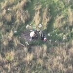 Esenyurt'ta Dron ile Tespit Edilen Uyuşturucu Kullanıcısı, Polisi Karşısında Buldu 3 istanbul esenyurtta dron destekli uyusturucu denetimi 1 gozalti 0b6ddb287fbc