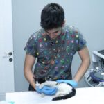 Evcil Hayvanların Mikroçip Uygulaması İçin Son Tarih 31 Aralık 2025! 3 istanbul evcil hayvanlara cip taktirmak icin son gun 31 aralik eaf1d1100194