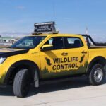 istanbul istanbul ve sabiha gokcen havalimanlarinda kus suruleri icin ornitologlar gorev basinda 11ff85d21942