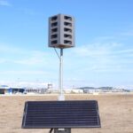 istanbul istanbul ve sabiha gokcen havalimanlarinda kus suruleri icin ornitologlar gorev basinda c989e039680e