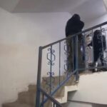 istanbul istanbulda deas operasyonu 7 gozalti 2c3a8b19b440