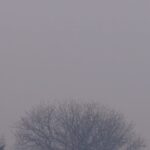 istanbul istanbulun bazi bolgelerinde sis etkili oldu b3be53a6e231