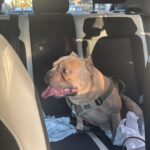 Şişli'de Direksiyon Kontrolünü Kaybeden Sürücü Trafiği Altüst Etti: 2 Ölü, 6 Yaralı 2 istanbul sislide 2 kisinin oldugu kazada otomobil surucusu adliyeye sevk edildi bayilma rahatsizligim var hatirlamiyorum 430744d02eec