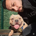 Şişli'de Direksiyon Kontrolünü Kaybeden Sürücü Trafiği Altüst Etti: 2 Ölü, 6 Yaralı 6 istanbul sislide 2 kisinin oldugu kazada otomobil surucusu adliyeye sevk edildi bayilma rahatsizligim var hatirlamiyorum 656bbbd44f9d