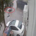 Bursa'da Kamyonetin Altında Kalarak Hayatını Kaybeden Skuter Sürücüsü Hatıra Geride Bıraktı 3 kamyonetin altinda kalan skuter surucusu oldu kaza kamerada 28c1ff66b883