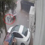 Bursa'da Kamyonetin Altında Kalarak Hayatını Kaybeden Skuter Sürücüsü Hatıra Geride Bıraktı 1 kamyonetin altinda kalan skuter surucusu oldu kaza kamerada 5d2e35e157f3