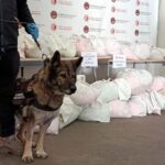 Kapıkule Sınır Kapısı'nda TIR'da 2,5 Milyon Uyuşturucu Hap ve 16 Kilogram Esrar Yakalandı 1 kapikuleye gelen tirdaki 591 kilo uyusturucuyu bodri buldu 678bdd45d3e8