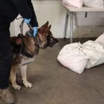 Kapıkule Sınır Kapısı'nda TIR'da 2,5 Milyon Uyuşturucu Hap ve 16 Kilogram Esrar Yakalandı 3 kapikuleye gelen tirdaki 591 kilo uyusturucuyu bodri buldu d90e7679873e