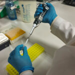 Yerli Aşının Geliştirilmesi Tamamlandı, İnsan Deneylerine Geçilecek 2 kkka asisinda klinik oncesi calismalar tamamlandi c38df7780658