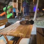 Körfez'de Lise Öğrencileri Arasında Bıçaklı Kavga: Bir Genç Yaralandı 2 lise ogrencileri arasinda parkta bicakli kavga 1 yarali fc797ee0cc09