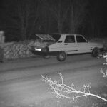 Orman Genel Müdürlüğü, Kış Aylarında Kaçak Ağaç Kesimiyle Mücadele İçin Denetimleri Sıklaştırdı 2 ogmden kacak kesimlere karsi 724 koruma 4d32126d0224