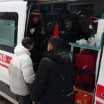 okul bahcesine giren kurt kopegi ogrencilere saldirdi 3 yarali 75e2196438ee