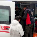 okul bahcesine giren kurt kopegi ogrencilere saldirdi 3 yarali a84f6e1f3488