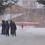 okul bahcesine giren kurt kopegi ogrencilere saldirdi 3 yarali d70a924bbbdb