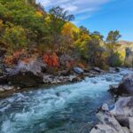 Anadolu Parsı Zannedilen Hayvanın Aslında Vaşak Olduğu Ortaya Çıktı 4 prof dr sozen agactaki anadolu parsi degil vasak 49860e784976