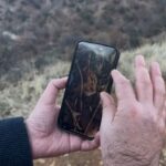 Anadolu Parsı Zannedilen Hayvanın Aslında Vaşak Olduğu Ortaya Çıktı 3 prof dr sozen agactaki anadolu parsi degil vasak 4b6df98cda33