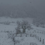 Samsun'da Kocadağ Mevkii'nde Kar Yağışı Etkili Oluyor 3 samsunun yuksek kesimlerinde kar etkili oldu 25d5f145bcd1