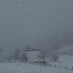 Samsun'da Kocadağ Mevkii'nde Kar Yağışı Etkili Oluyor 2 samsunun yuksek kesimlerinde kar etkili oldu 37d0ccd5ea89