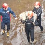 su kanalina dusen karacayi itfaiye kurtardi bf0b03d85549