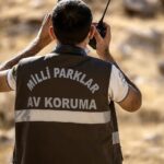 Kayseri'de Koruma Altındaki Keçiyi Avlayan Avcıya 953 Bin TL Ceza Uygulandı 1 yaban kecisi vuran avciya 953 bin tl ceza bc2cda3eb7e3