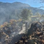 yanan ev coktu tek basina yasayan alzheimer hastasi araniyor e4ec836dcd56