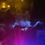 Zonguldak'ta Yangında Mahsur Kalan Papağan, İtfaiye Ekipleri Tarafından Kurtarıldı 5 yanan evden mahsur kalan papagani itfaiye kurtardi f2fd8e6b9cb2