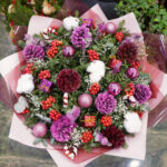 yilbasi cicegi kokina 500 liradan baslayan fiyatlarla vitrinlerde 6453040e6724