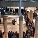 zeugma mozaik muzesinde tum zamanlarin ziyaretci rekoru 88e2a06305e2