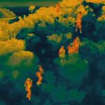 15 ilde gocmen kacakciligi operasyonu 50 tutuklama c80496b2abcb