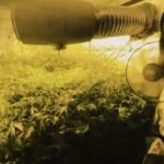 23 ilde uyusturucu operasyonu 177 tutuklama 1d867dee9035