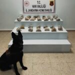 23 ilde uyusturucu operasyonu 177 tutuklama 6ecad12fa603