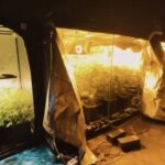 23 ilde uyusturucu operasyonu 177 tutuklama be51928e7ce8