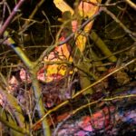 adanada devrilen agacin dallari seyir halindeki aracin on camina saplandi b4a58fe3d809