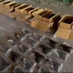 antalyada 393 ruhsatsiz tabanca ele gecirildi 2 gozalti f3534efc0dbe