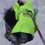 artvinde 1 kisinin oldugu cigda kar altinda kalan 2 coban araniyor 2 87d26857d281