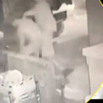 Zonguldak'ta Düğün Dönüşü Bıçaklama Olayında Yeni Görüntüler Ortaya Çıktı 6 babaanne ve 2 torununun oldugu bicakli kavganin goruntuleri ortaya cikti 2f0236197c53