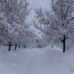 bitliste kardan 229 yerlesim yerinin yolu kapandi a73c68cd2ece