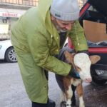 buzagiya otomobilin bagajinda serum tedavisi 4ae0ee36f2de