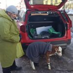 buzagiya otomobilin bagajinda serum tedavisi 505fb9e58f0e